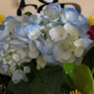 Meet your Posher, Keegan